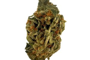 Sibanax GMO Zkittlez 20/1